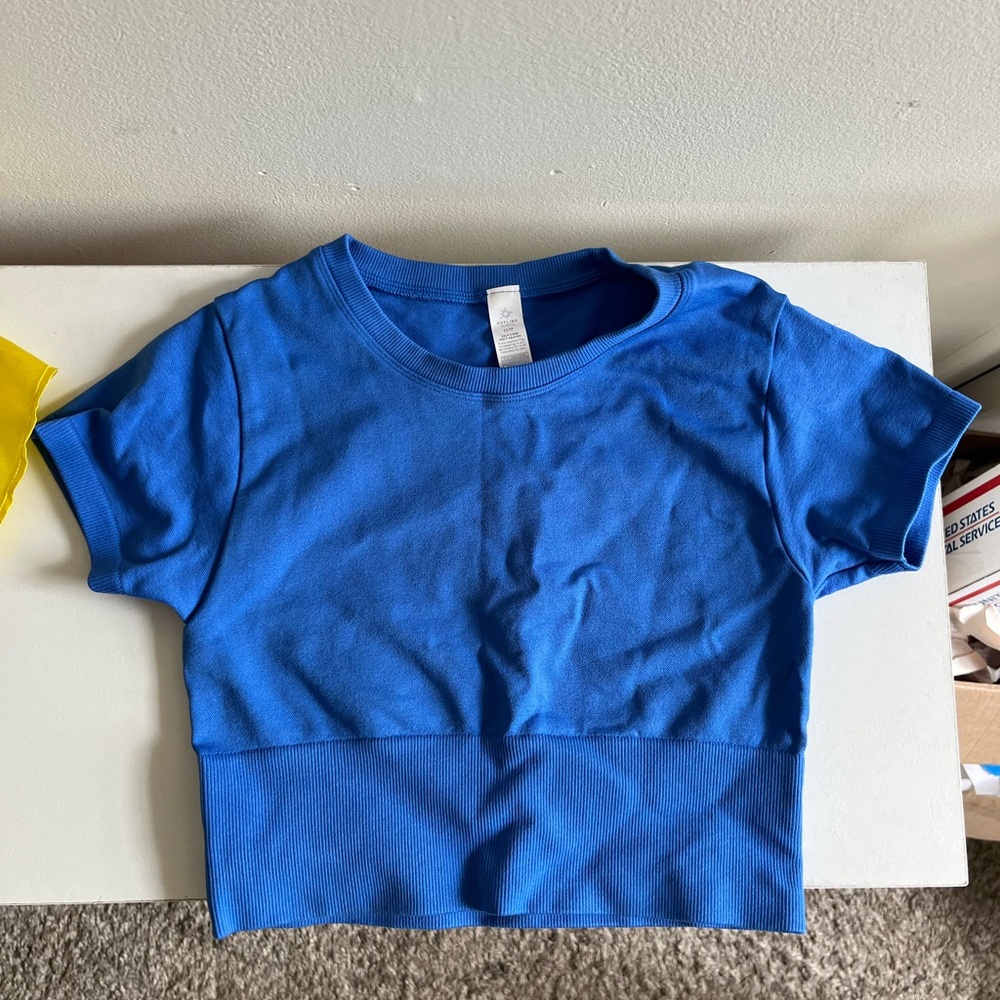 Aerie Blue Crop Top